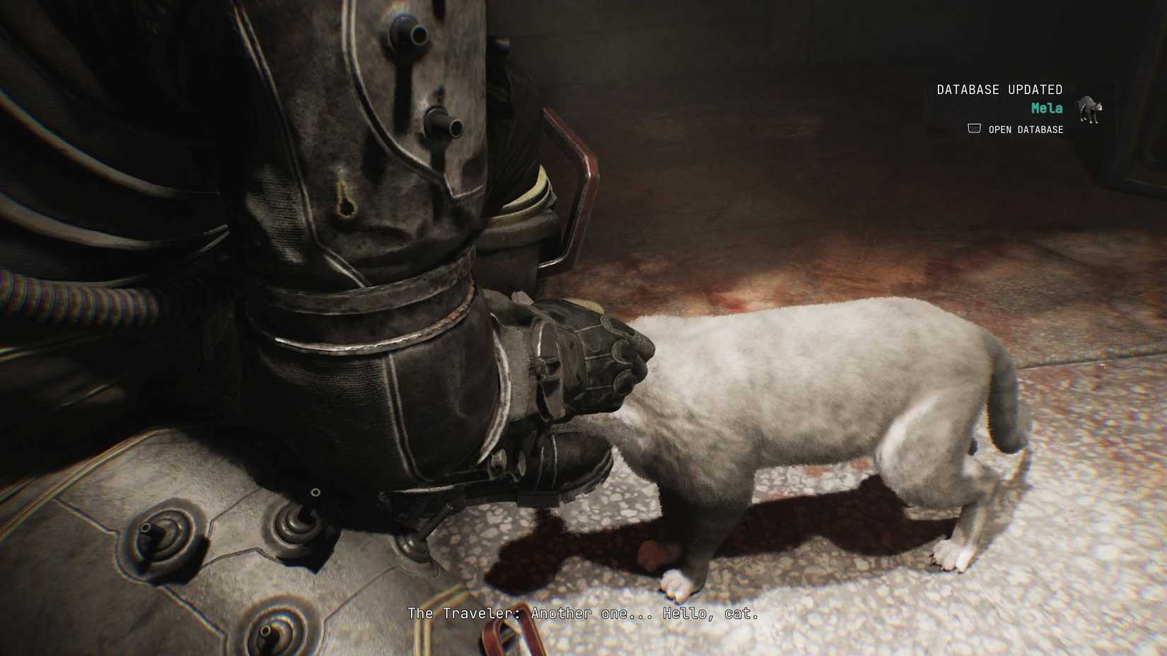 Cronos The New Dawn petting grey cat