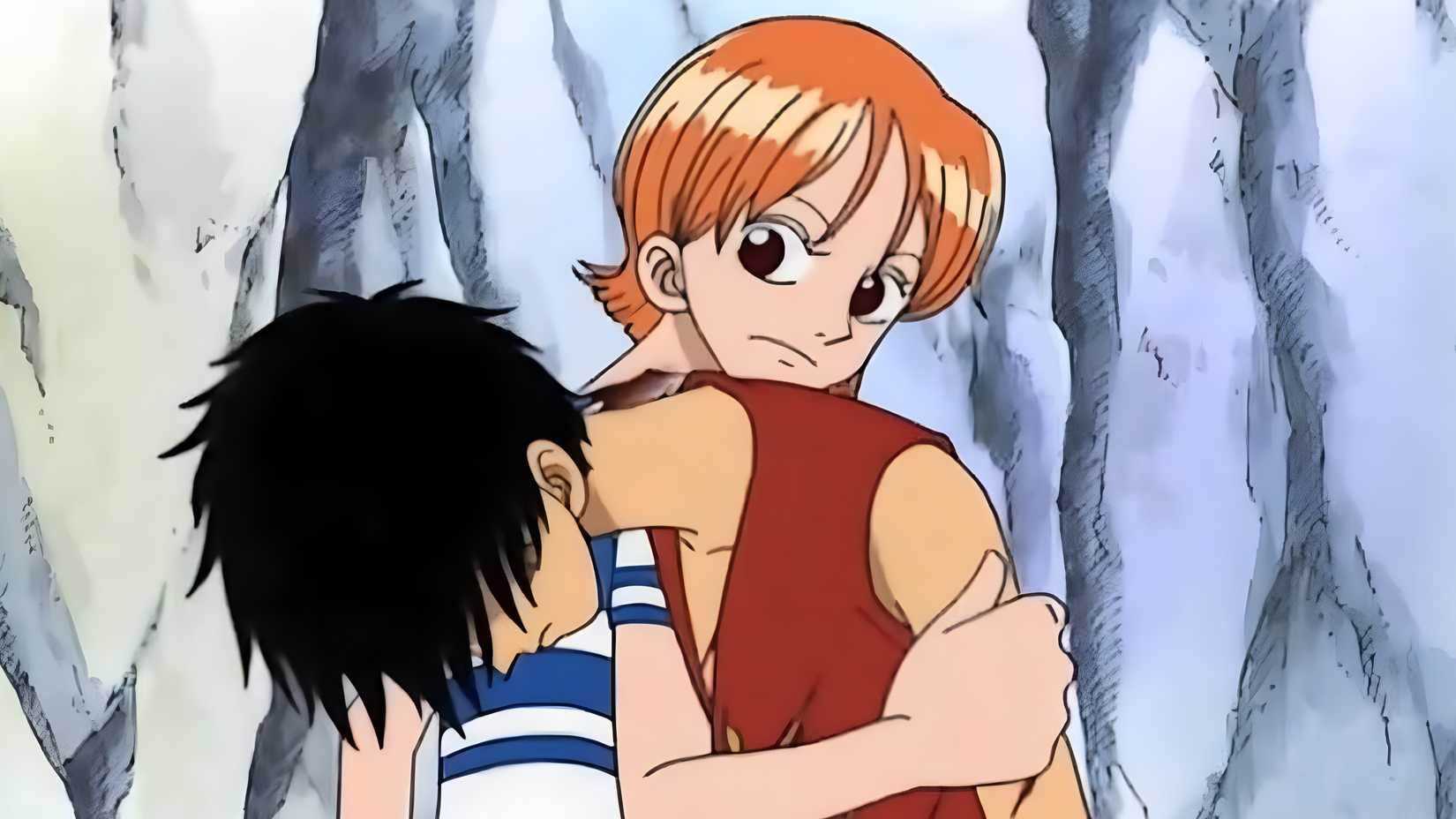 one piece nami supporting luffy