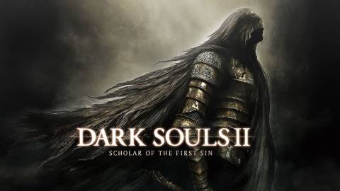 Dark Souls 2 (4)