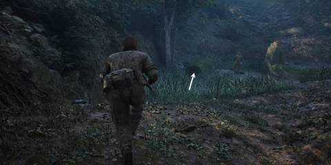 Dremuchij North Empty Log Metal Gear Solid Delta Snake Eater