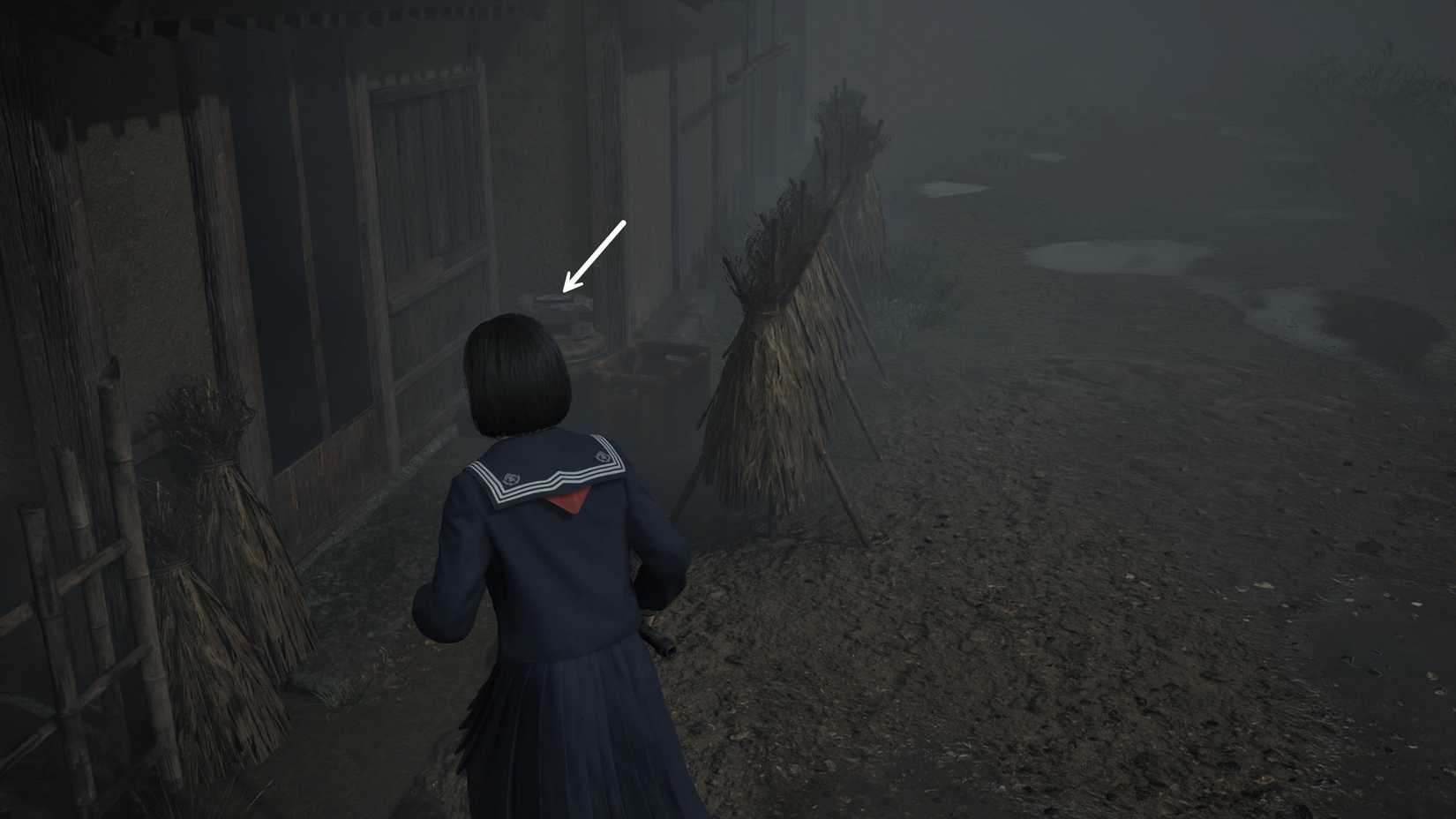 Ema Spotted on a Box Silent Hill f