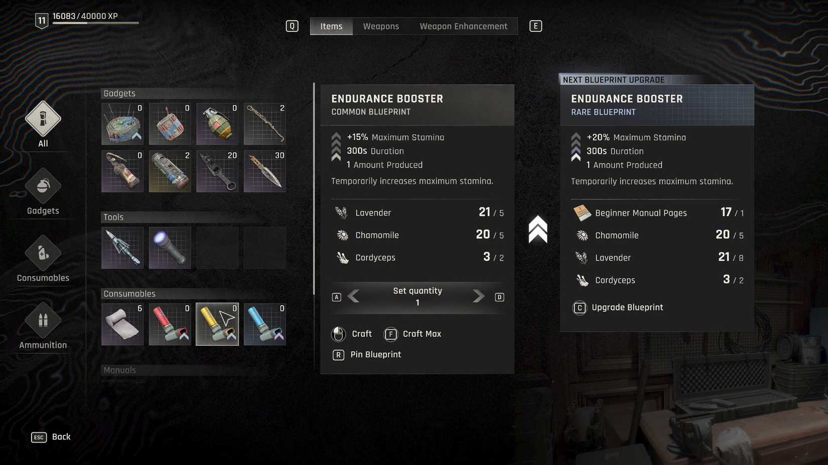 Endurance Booster Dying Light The Beast