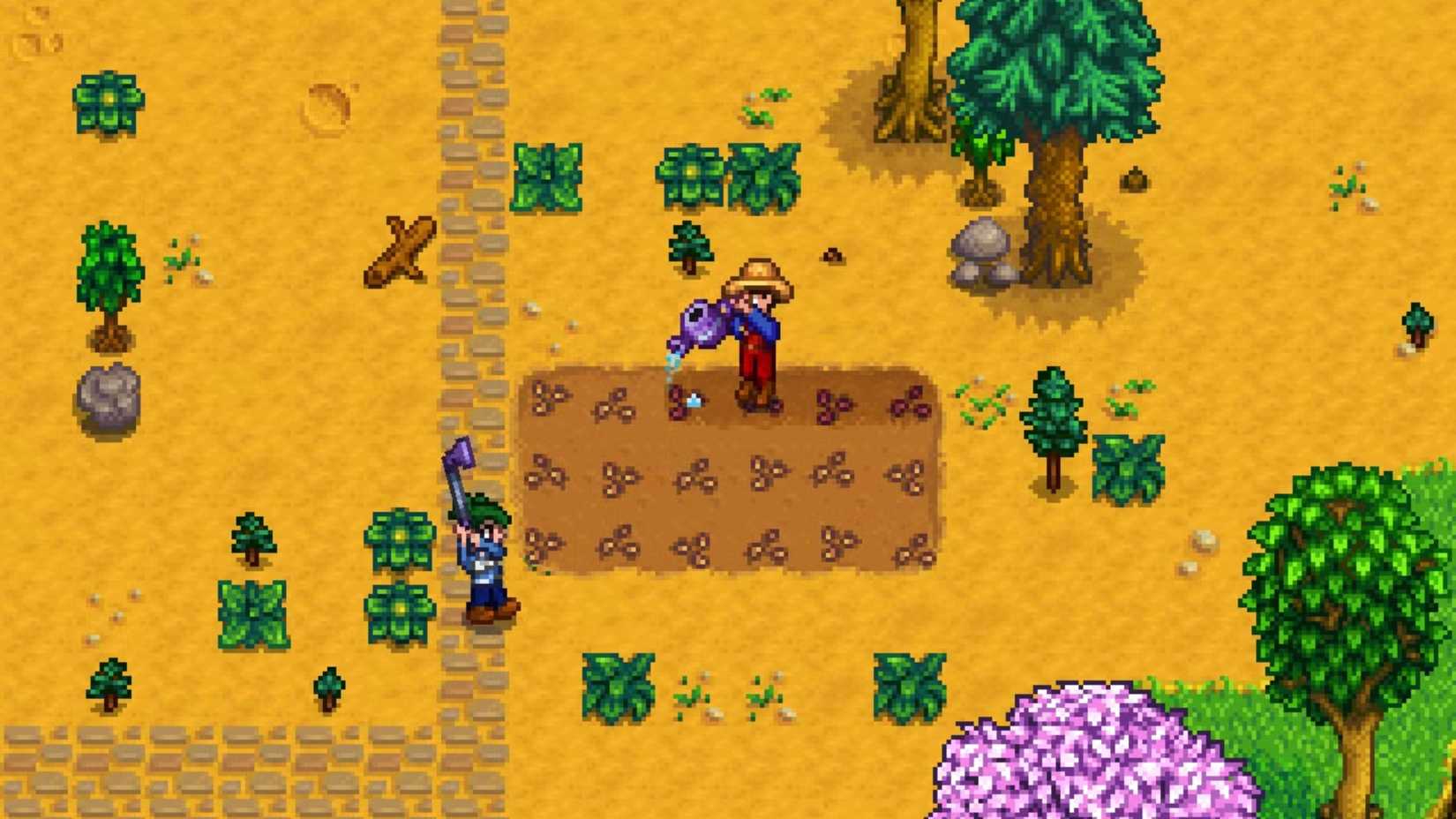 Farming with a friend in Stardew Valley