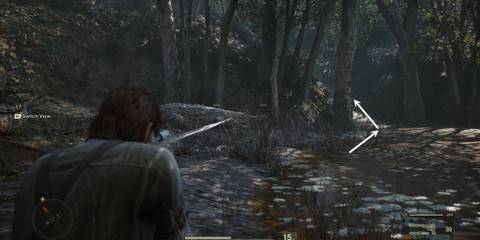 Gater Infested Swamp Metal Gear Solid Delta Snake Eater