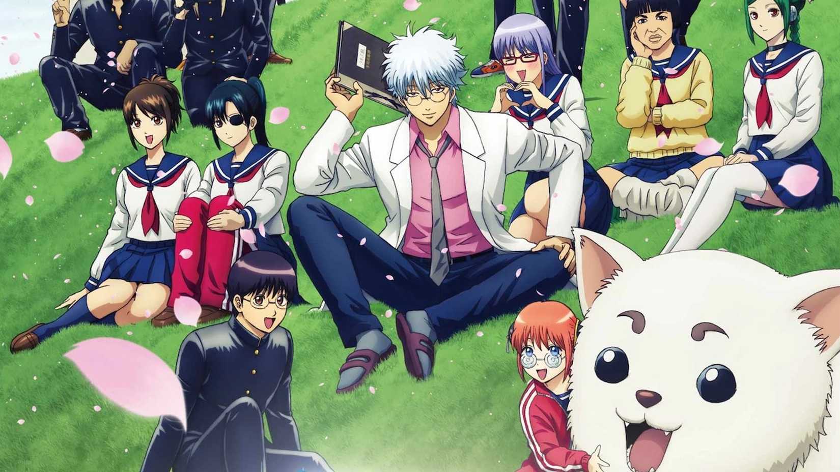 Anime Gintama Sensei