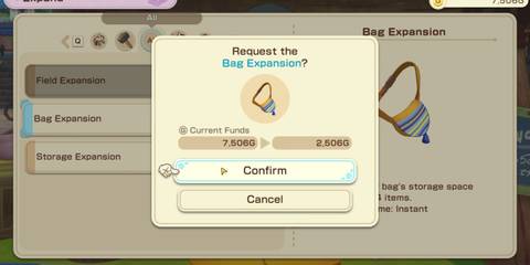 how to expand bag story of seasons grand bazaar 