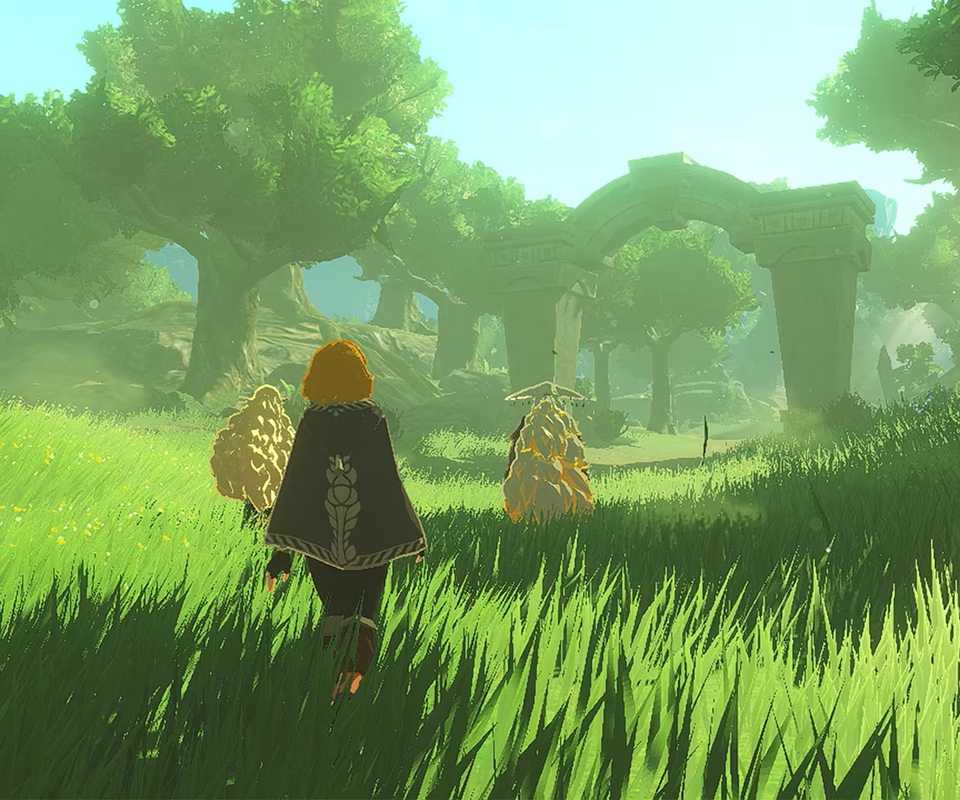 Hyrule Warriors - Age of Imprisonment Press Image 2