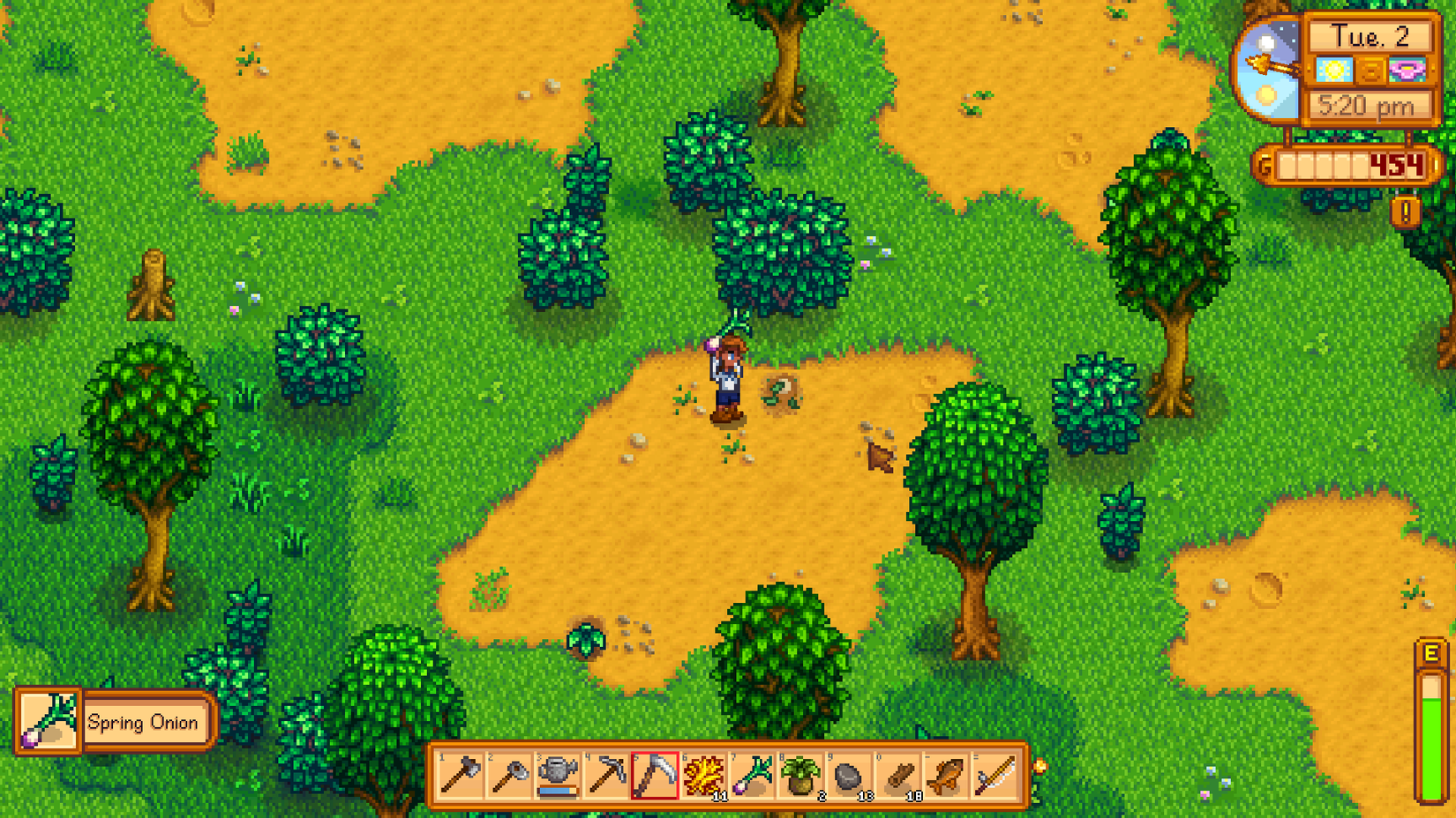 SDV Exploring Wilderness