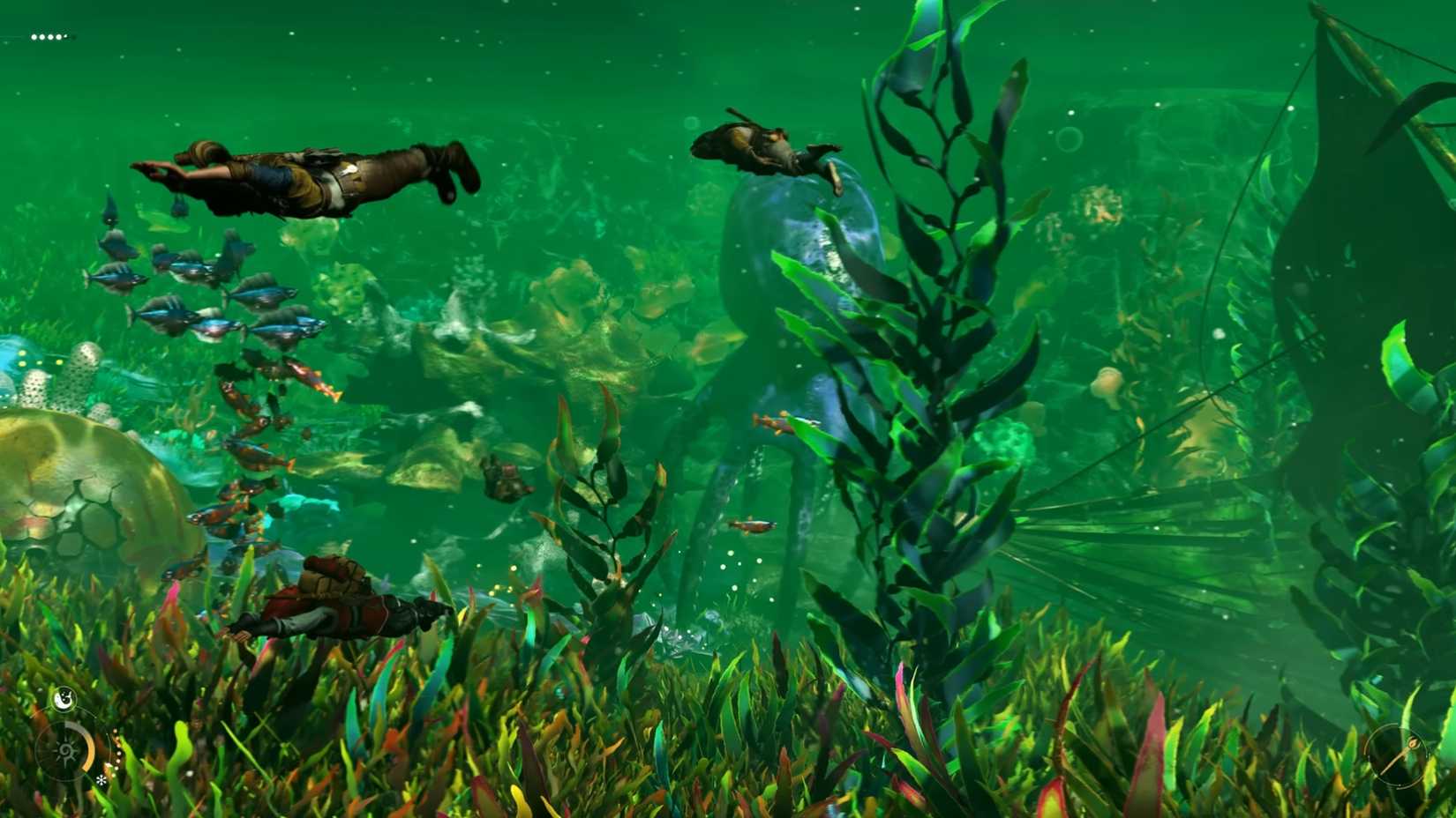 Light no Ohache fraud