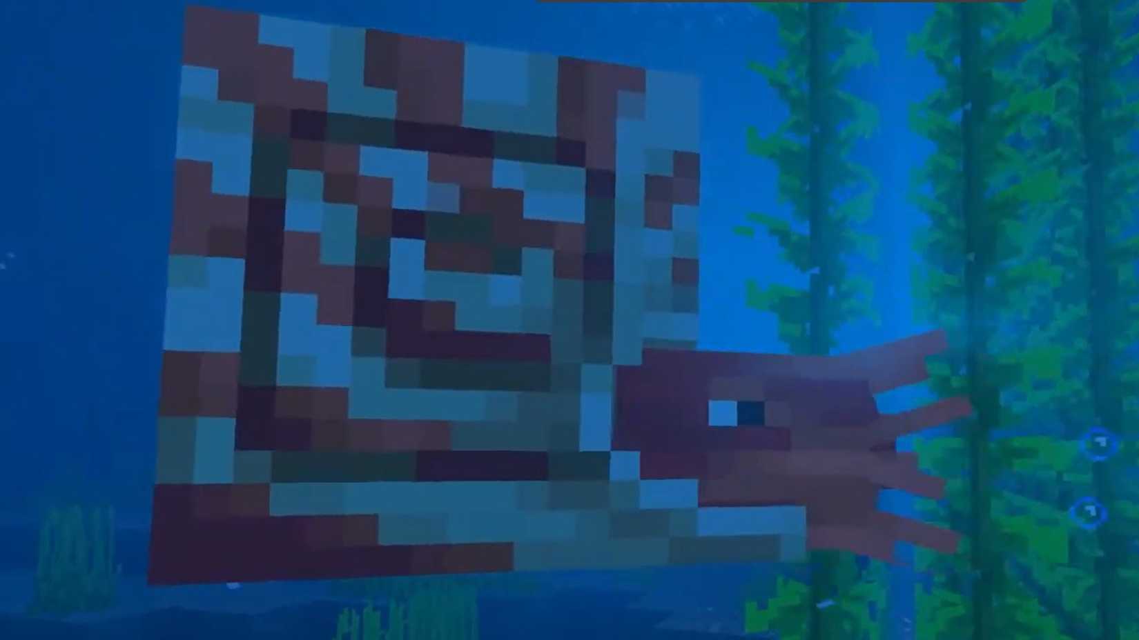 minecraft new nautilus mob close up mounts of mayhem