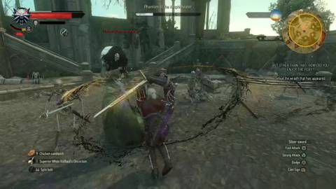 Whirl in The Witcher 3 Wild Hunt