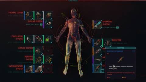 Reinforced Tendons in Cyberpunk 2077