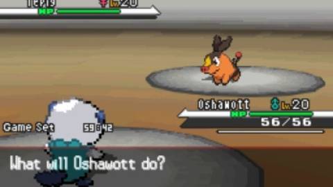 Oshawott fighting Tepig - Pokemon Black and White