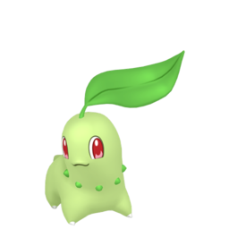 pokemon-legends-za-pokemon-icon-chikorita