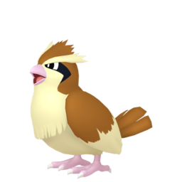 pokemon-legends-za-pokemon-icon-pidgey