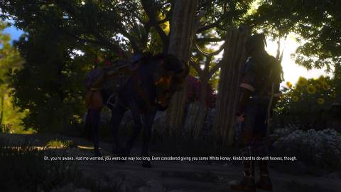 Roach in The Witcher 3 Wild Hunt (2)