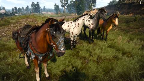 Roach in The Witcher 3 Wild Hunt (3)