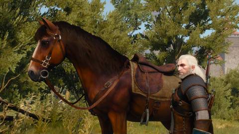 Roach in The Witcher 3 Wild Hunt