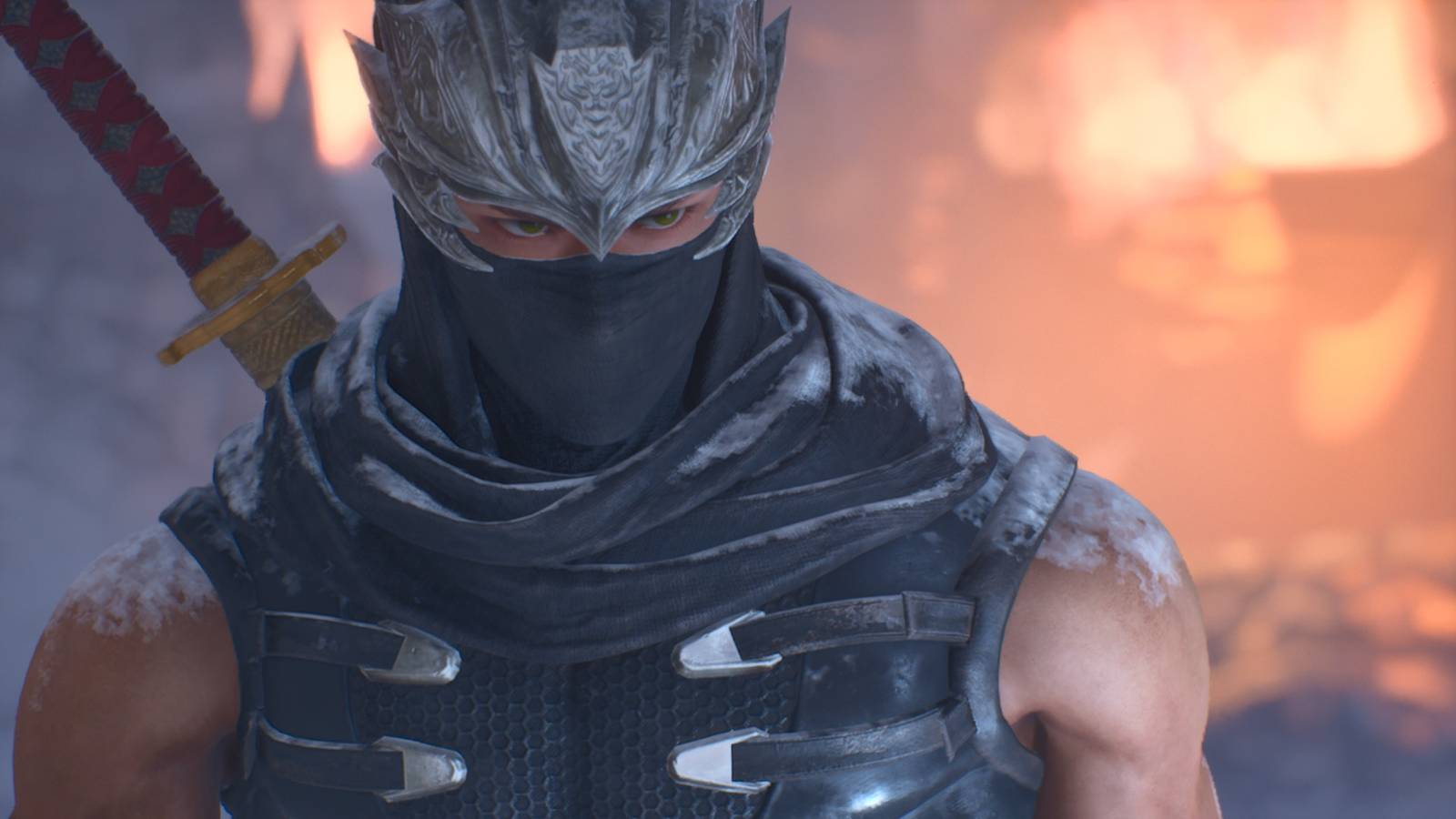 Ryu in Ninja Gaiden 2 Black