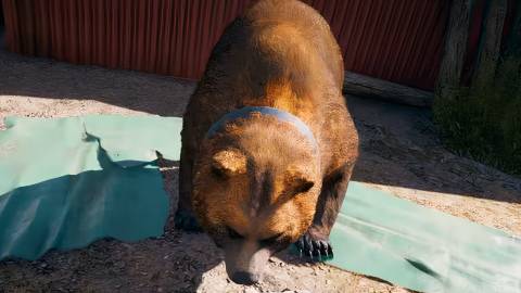 Cheeseburger eating a fish