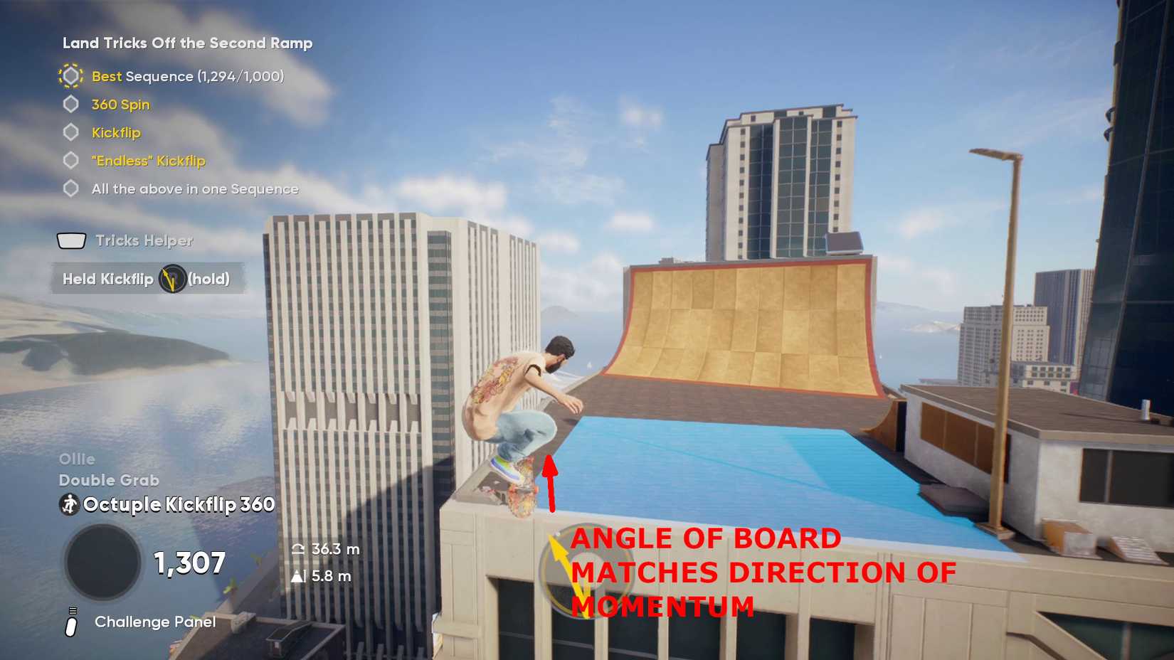 skate 4 flip with a view goals
