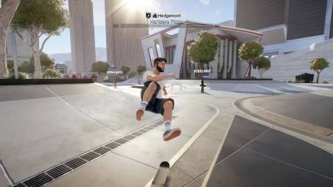 Skate Hippy Jump Tricks Flip