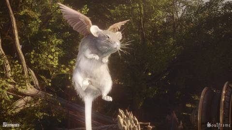 Soulframe Press Image 3