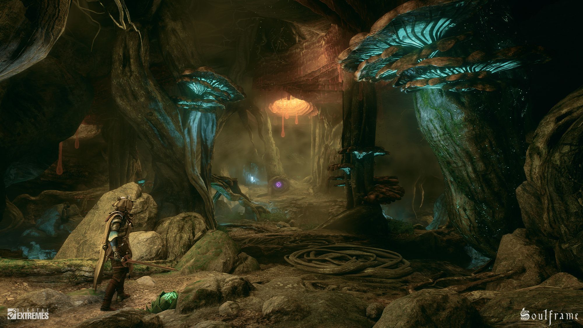 Soulframe Press Image 5