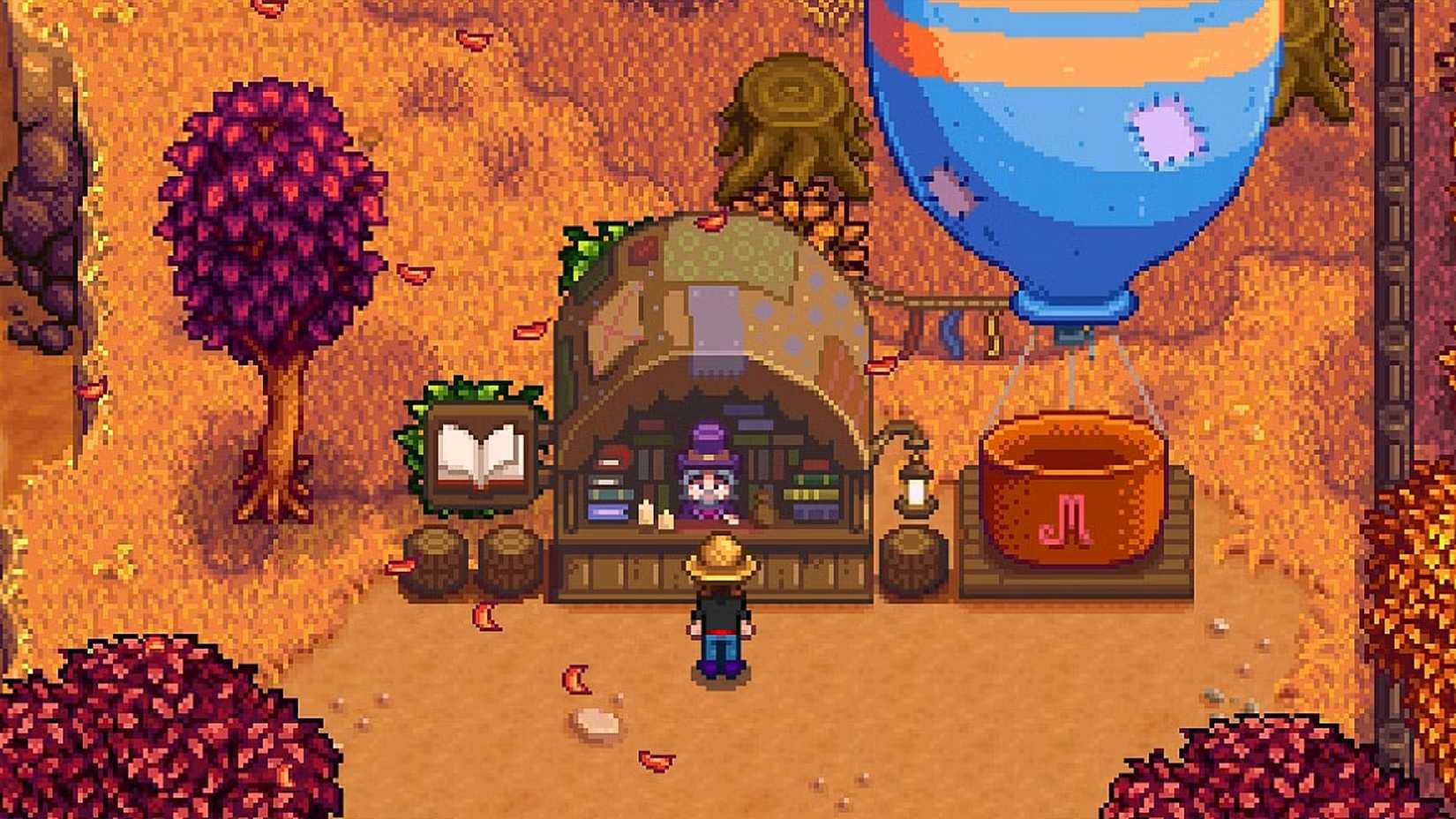 Stardew Valley Marcello Bookseller fall