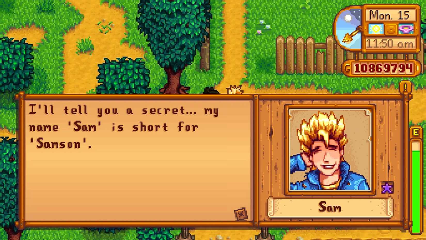 Stardew Valley Sam name