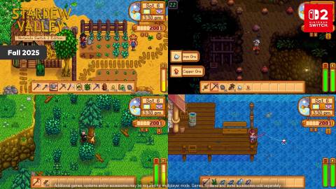 stardew-valley-switch-2-4-player-split-screen
