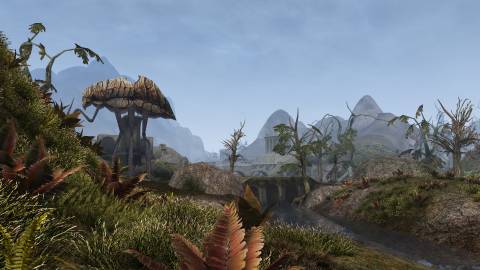 The Elder Scrolls 3 Morrowind (4)