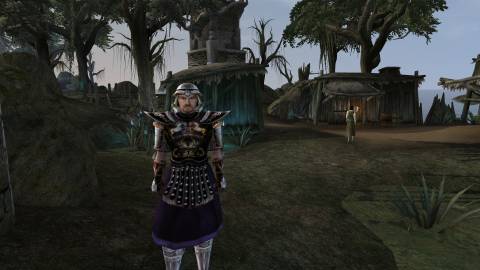 The Elder Scrolls 3 Morrowind (6)