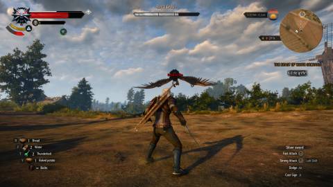 Combat in The Witcher 3 Wild Hunt