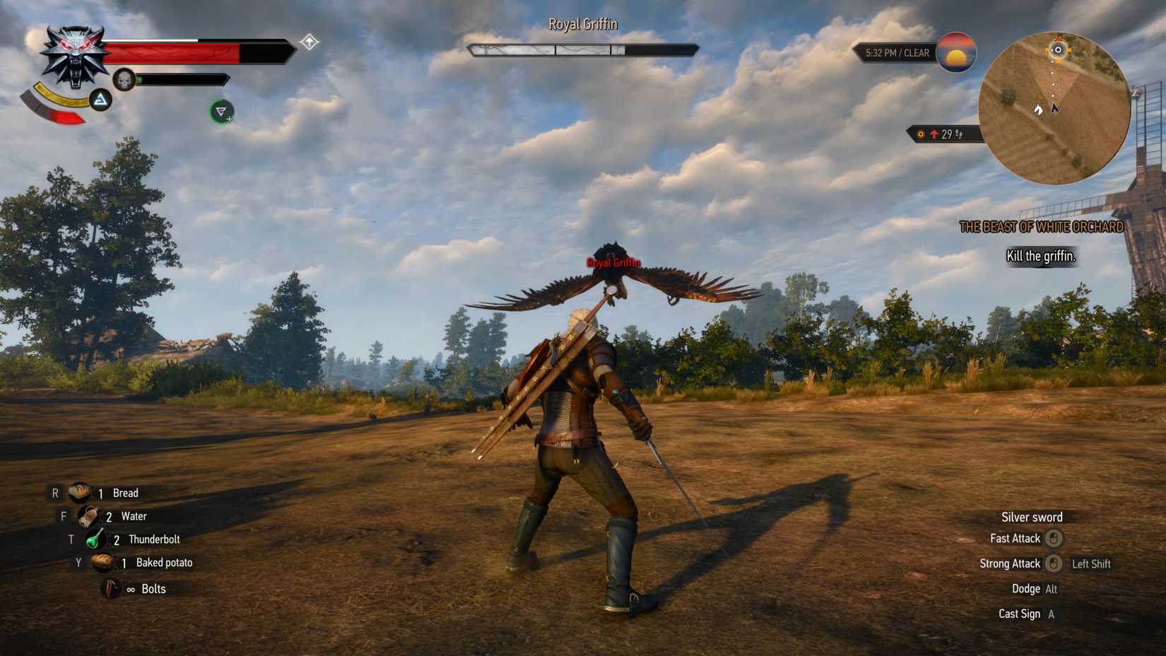 Witcher Combat The Witcher 3: The Most Useful Skills And Abilities