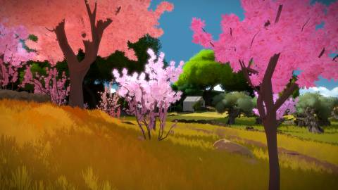 The Witness - official steam screenshot 4