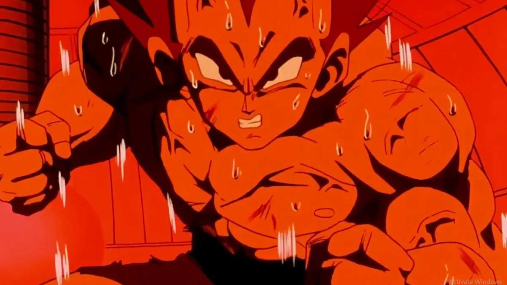 vegeta training dragon ball