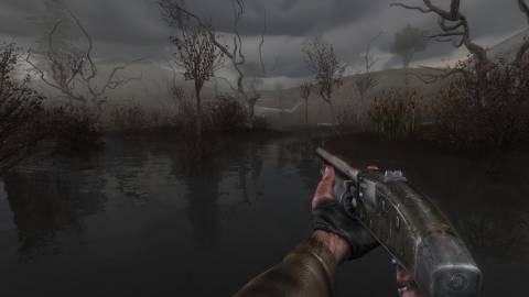 walking through a swamp in STALKER Shadow of Chernobyl