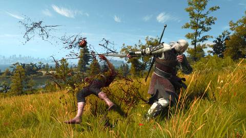 Combat in The Witcher 3 Wild Hunt
