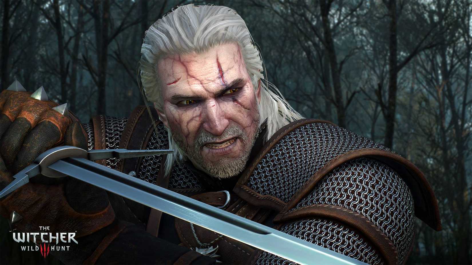 Toxicity in The Witcher 3 Wild Hunt