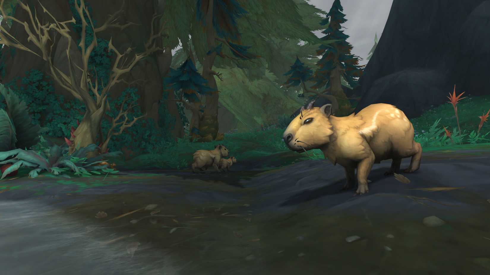 world of warcraft midnight zul'aman capybara
