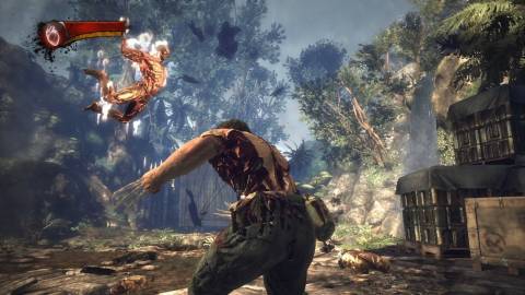 X-Men Origins Wolverine Logan Regeneration