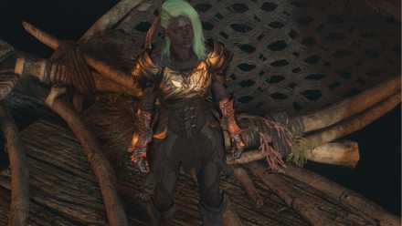 Your character in Baldur's Gate 3