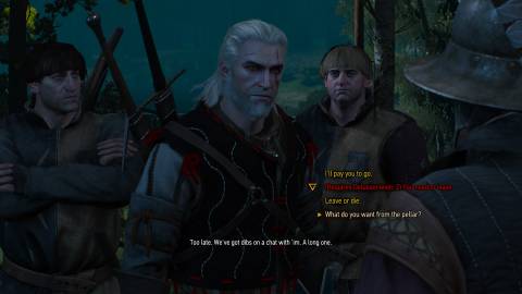 Axii Delusion in The Witcher 3 Wild Hunt