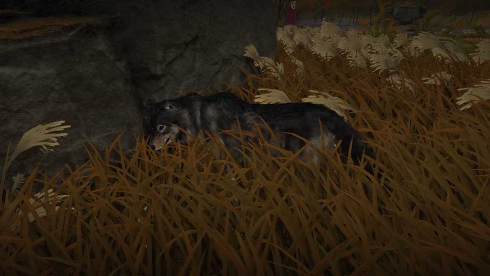 A wolf in the Ghost of Yotei