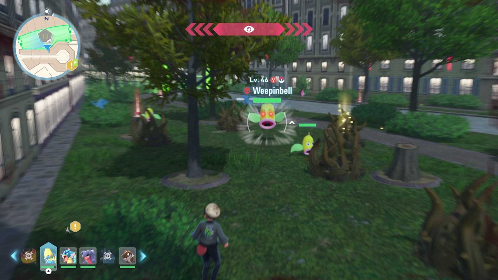 alpha weepinbell in wild zone 13 in pokemon legends for