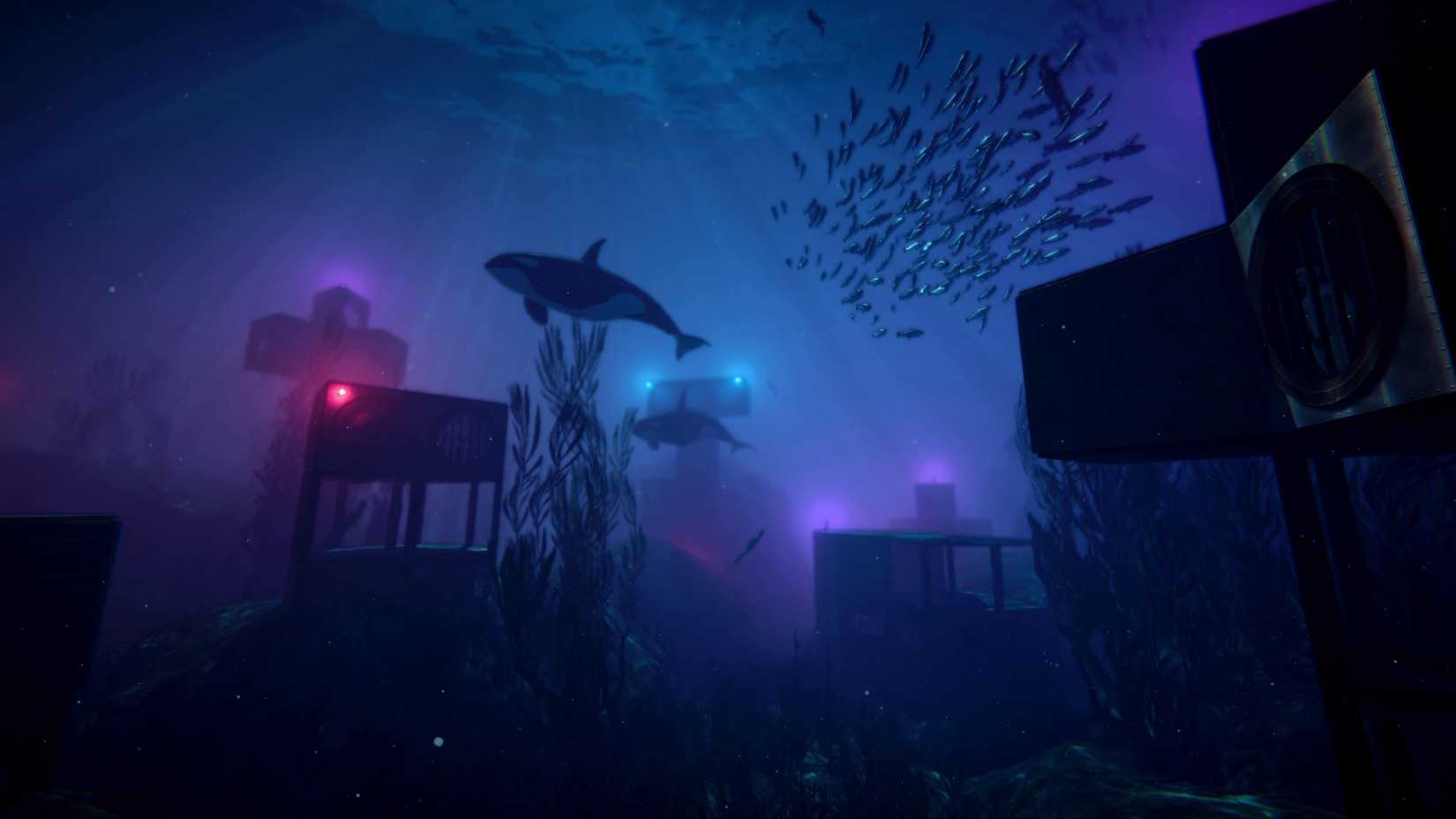 Anchor screenshot (12)