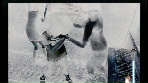 Being attacked by a ghost in Fatal Frame 2 Crimson Butterfly (PS2)