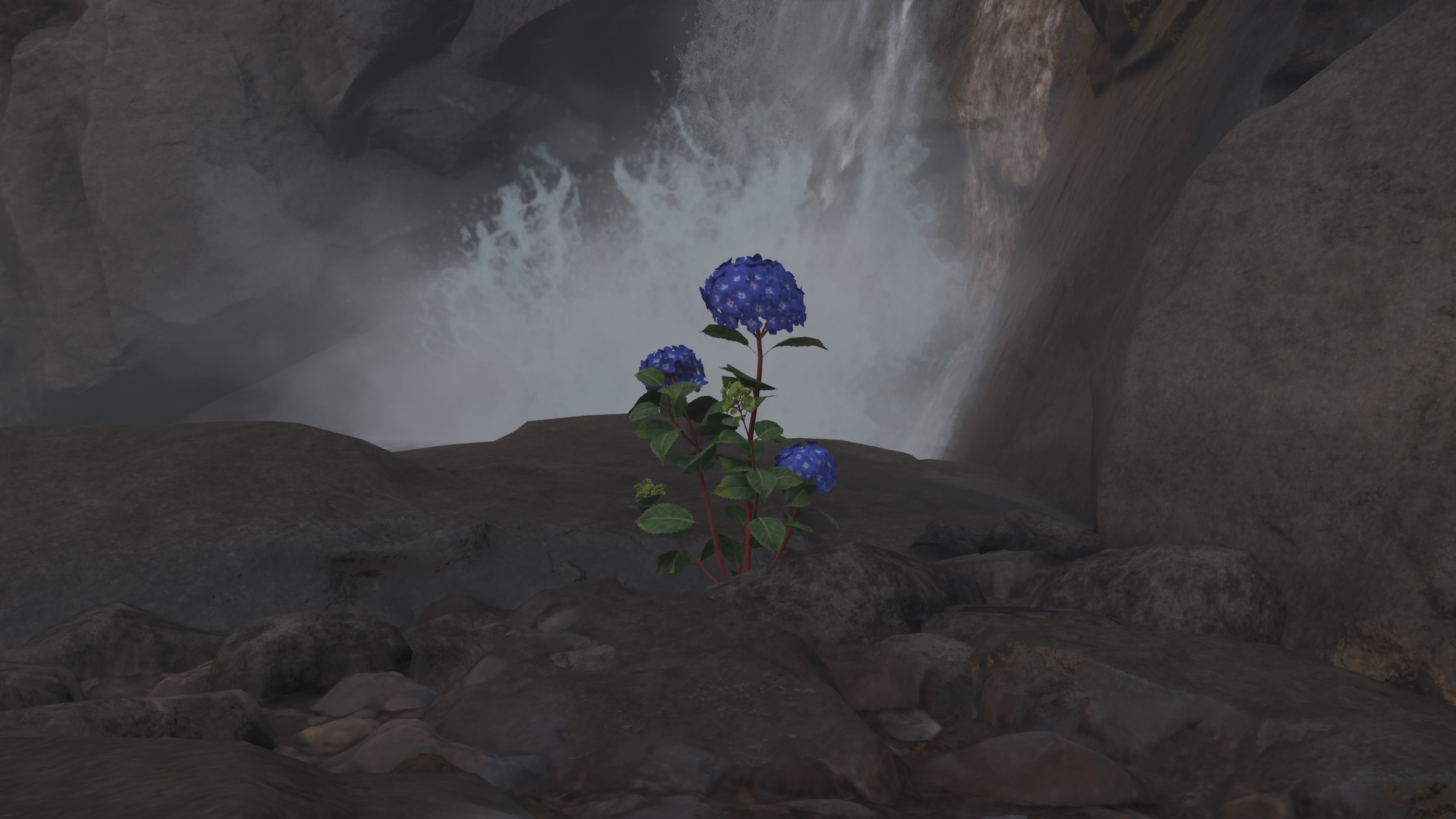 blue flowers a flower for your thought