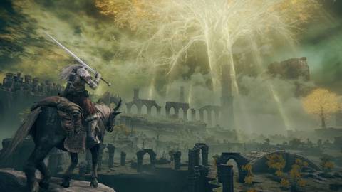 elden ring tarnished edition